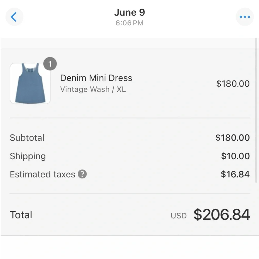 Denim Parke Mini Dress - Picture 3 of 3